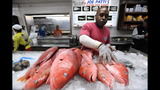 Environmentalists spar with Obama administration over fish catches