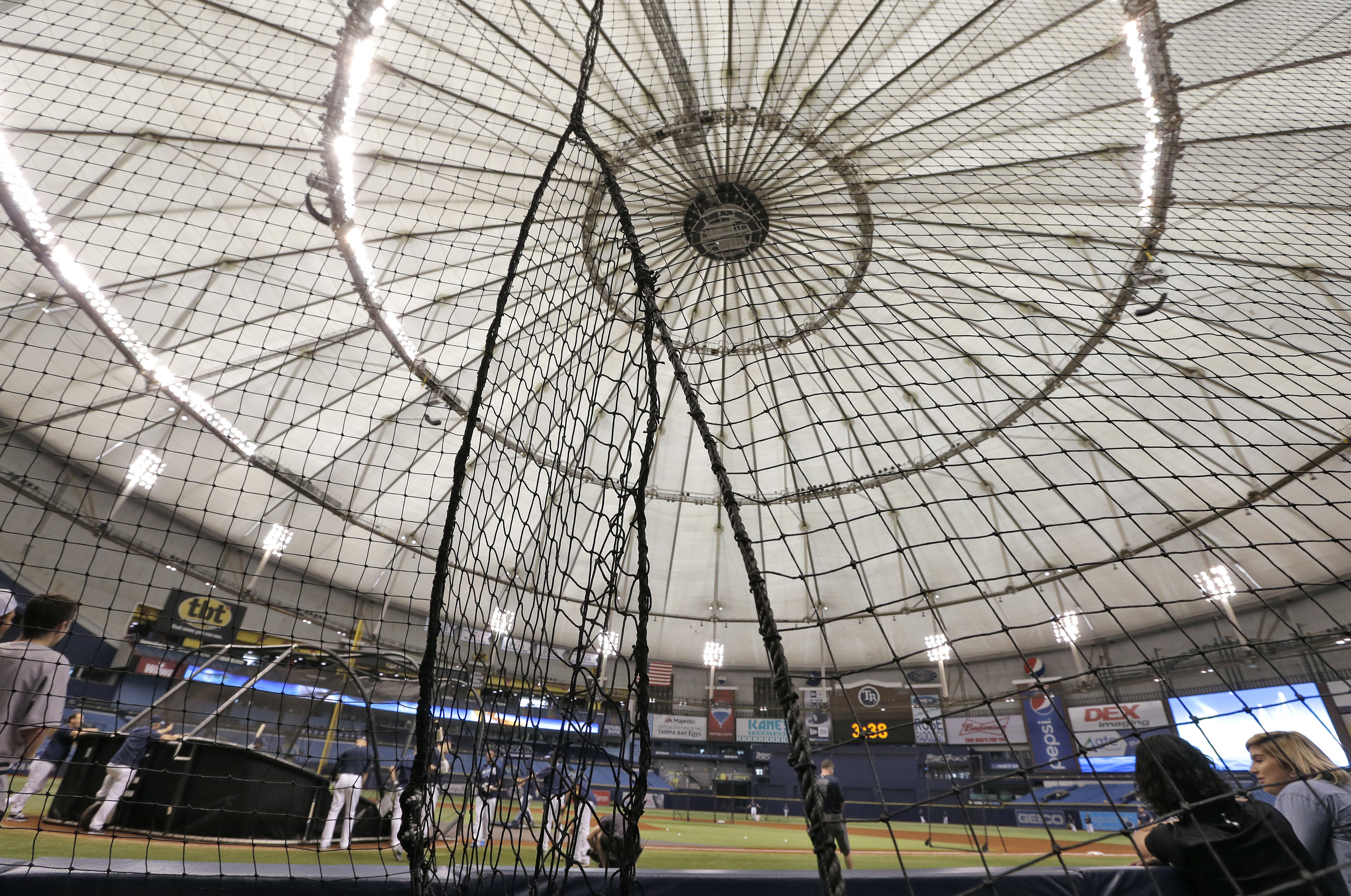 Fan hit by foul ball at Rays game in stable condition