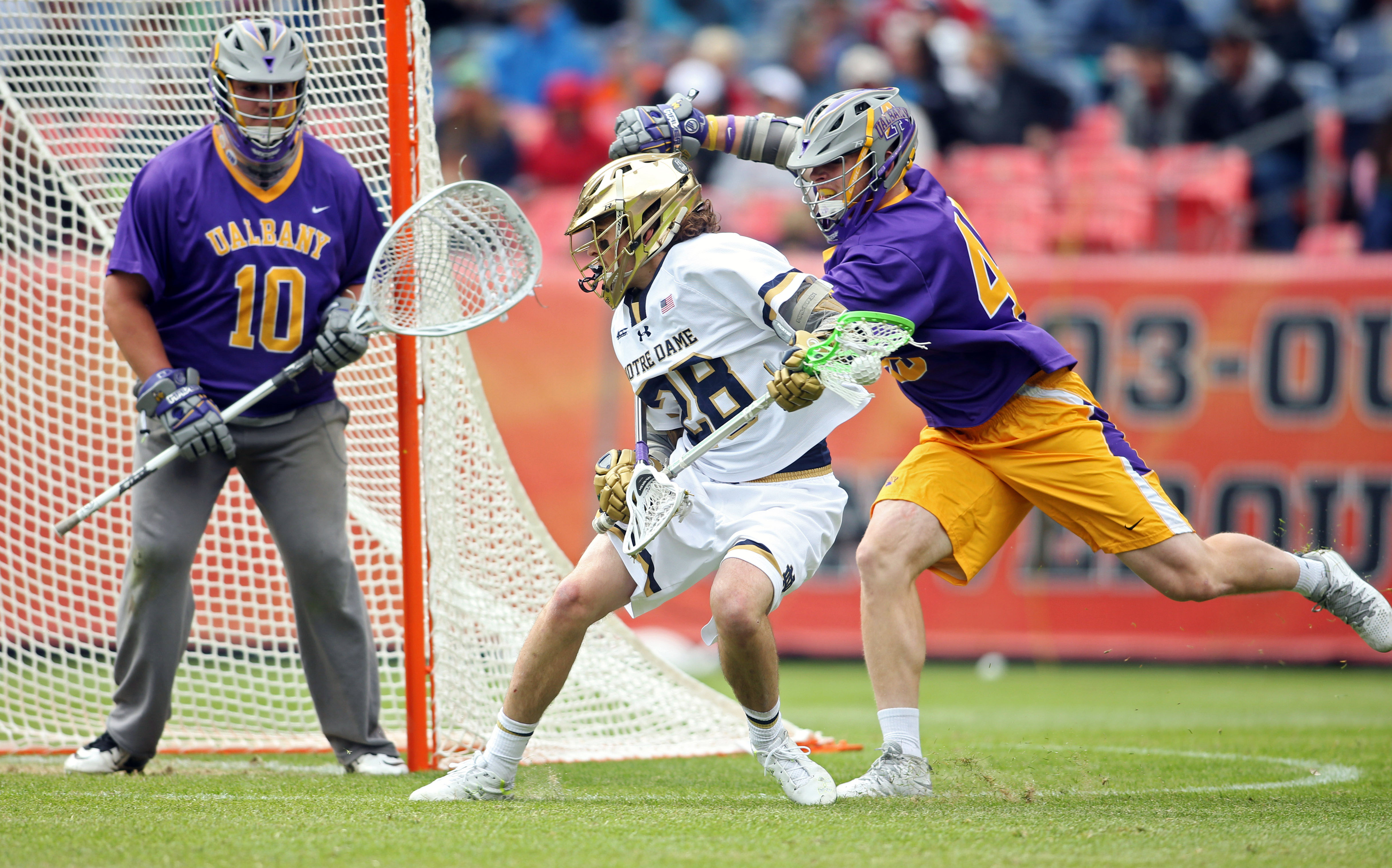 Albany lacrosse continues run of success, despite losing player of the