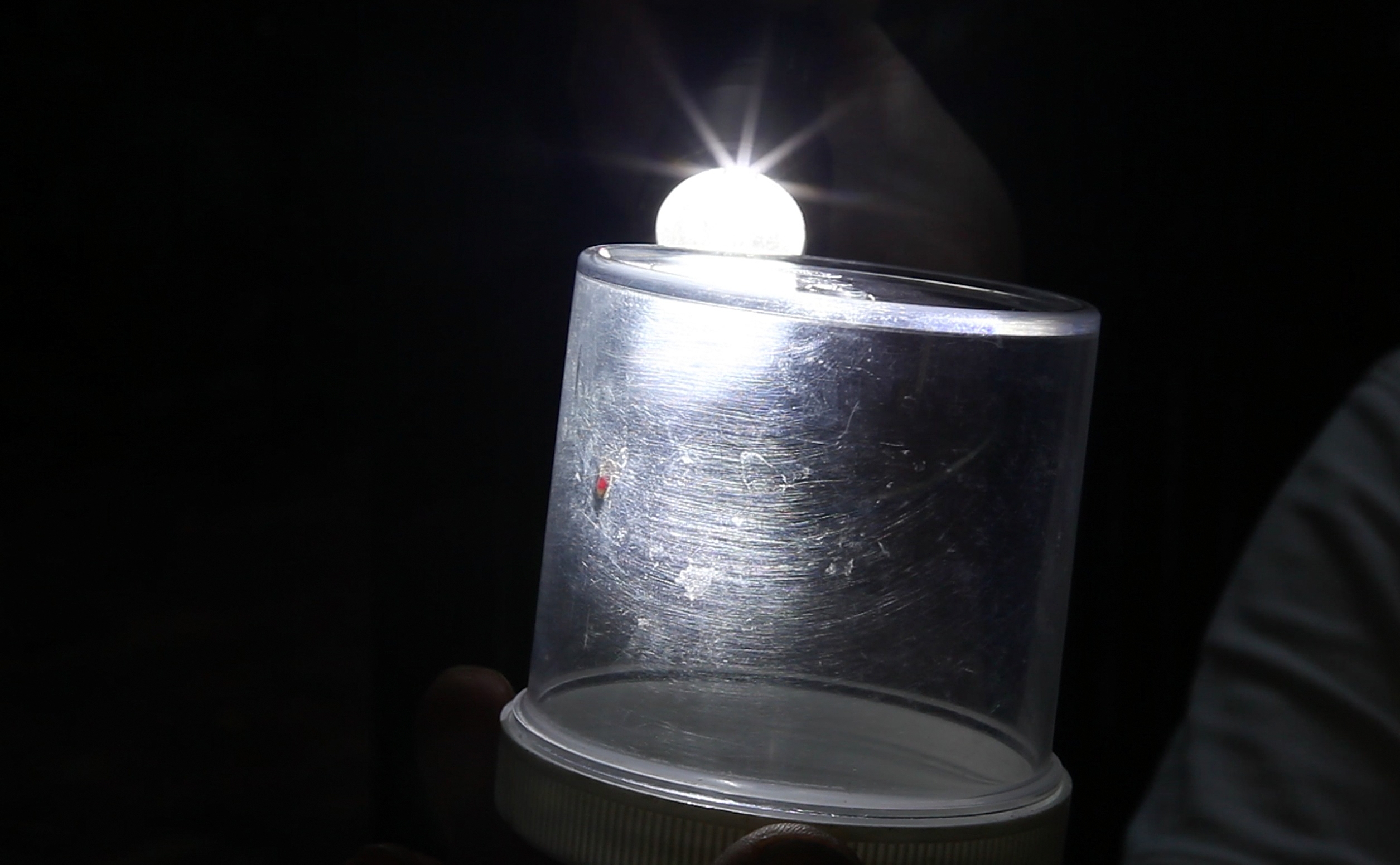 Controlling Zika mosquitoes may be 'lost cause' 