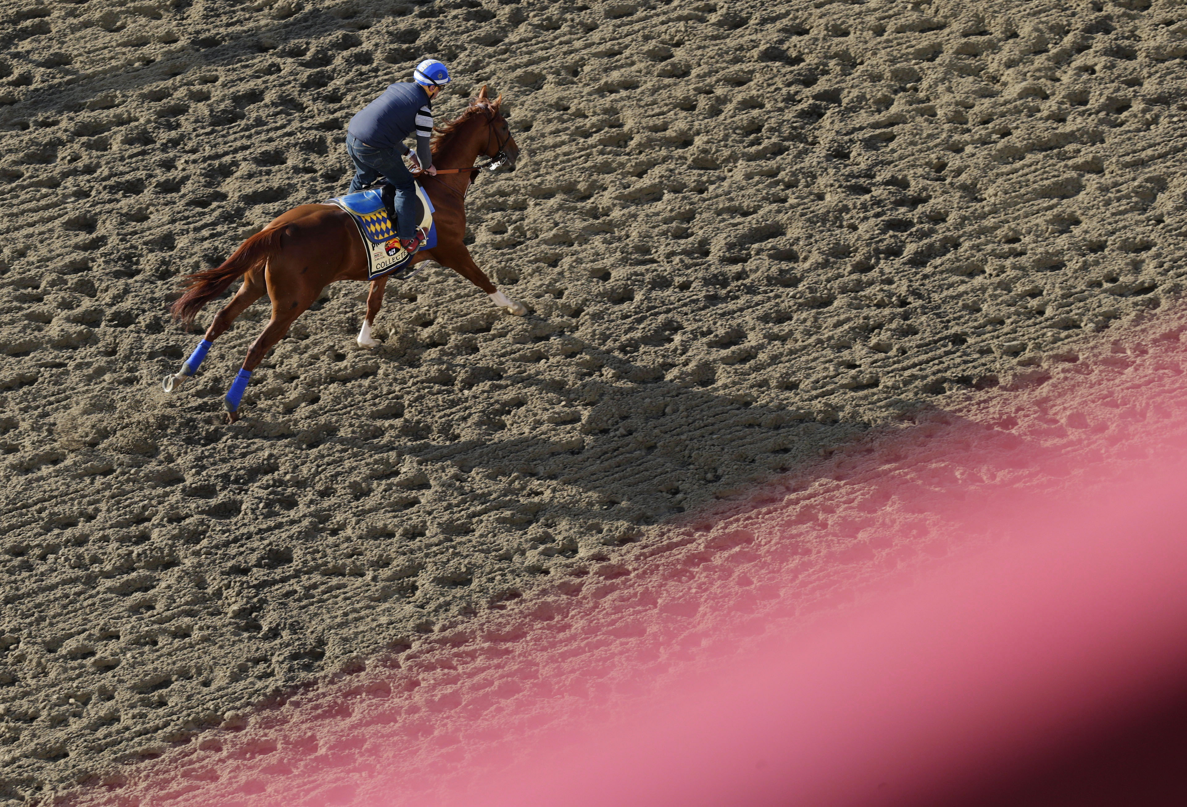 Derby winner Nyquist ready for Preakness, even a rainy one