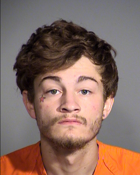Teen faces murder counts in ‘Purge’ crime spree | wusa9.com
