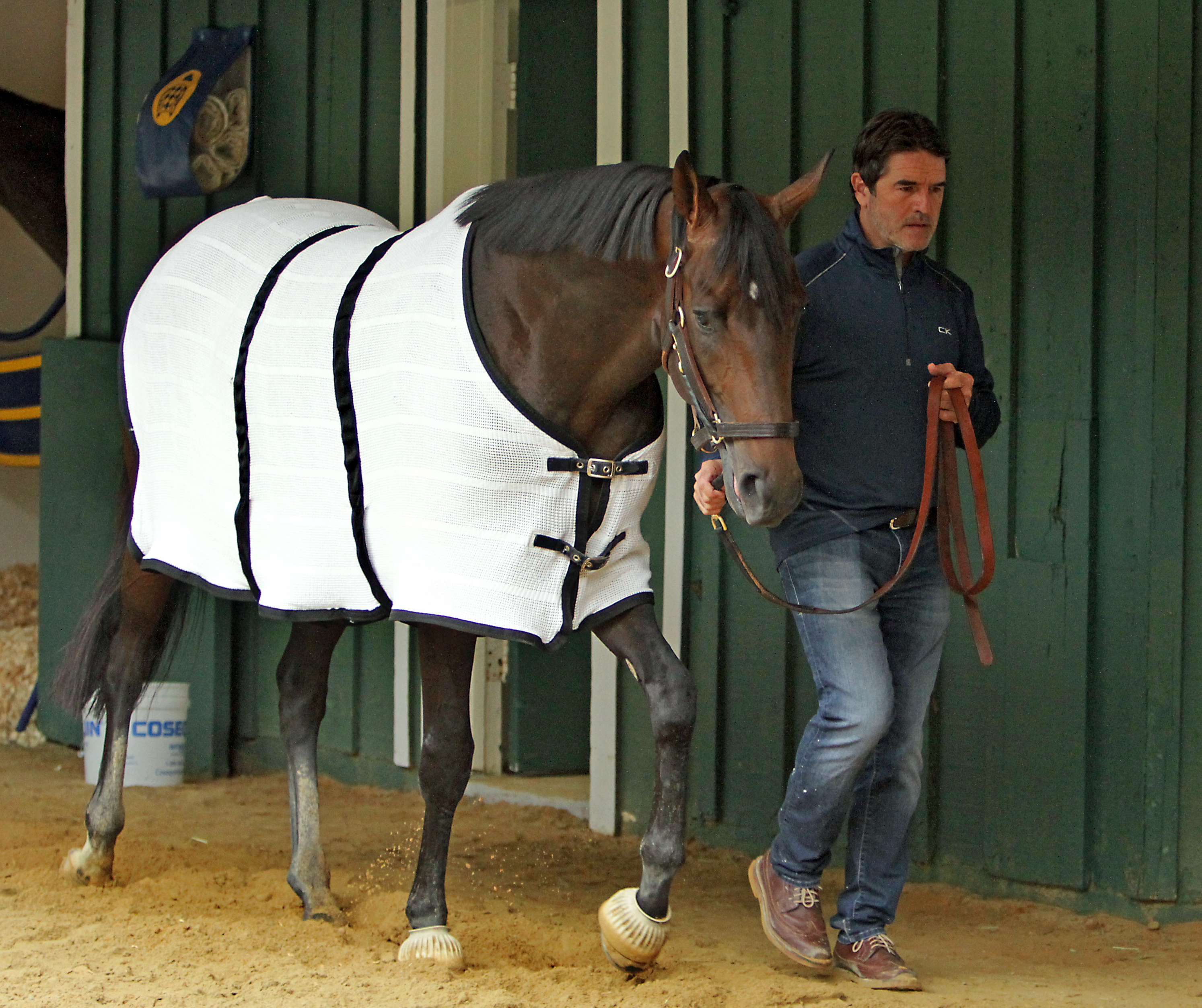 Belmont Stakes: Some close calls, high payouts, small crowds ...