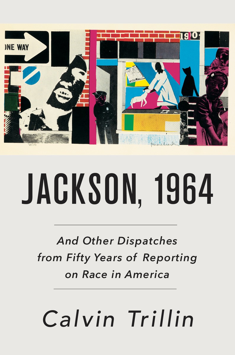 essays on race in america essays on race in america