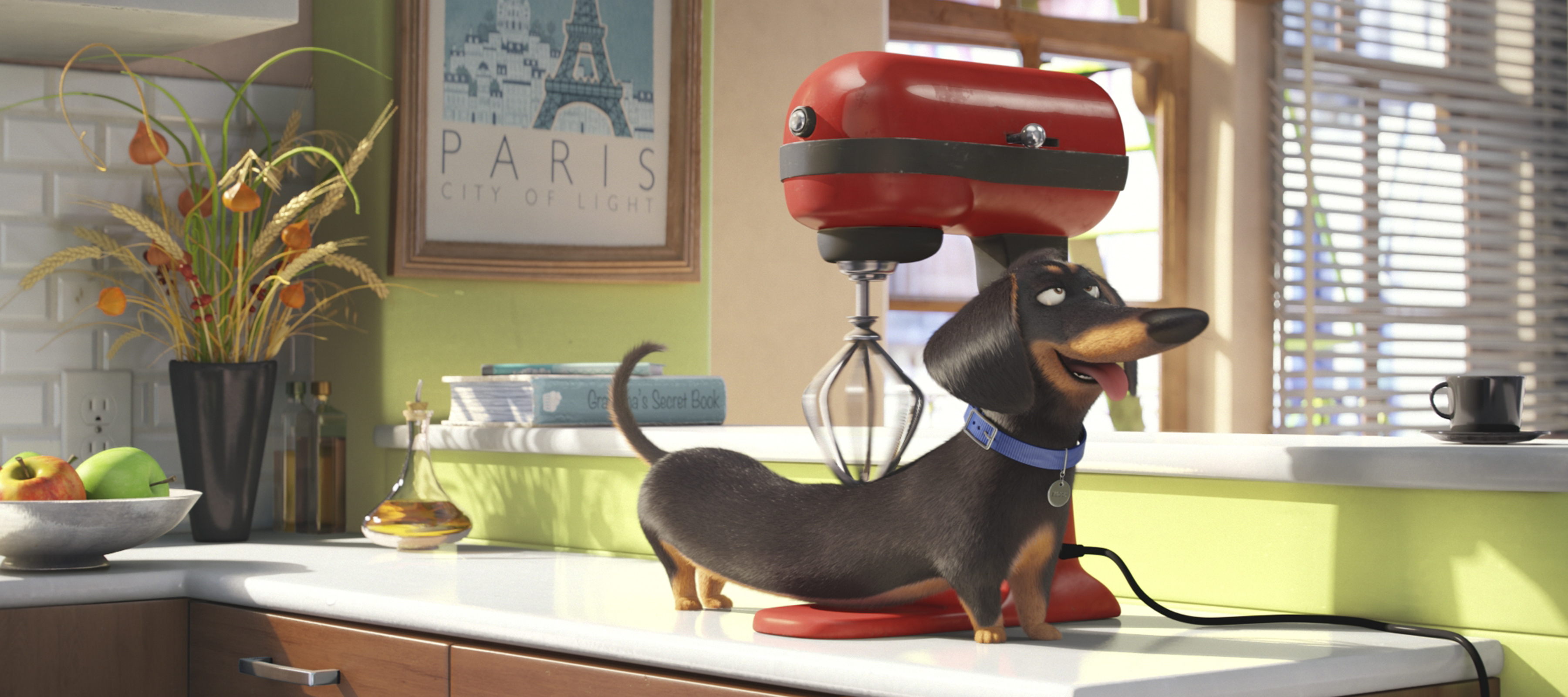 The Secret Life of Pets instal the new