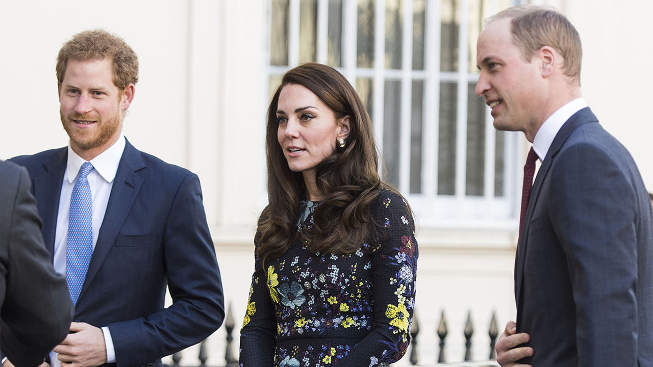 Kate Middleton, Prince Harry, and Prince William Give Joint Speech to