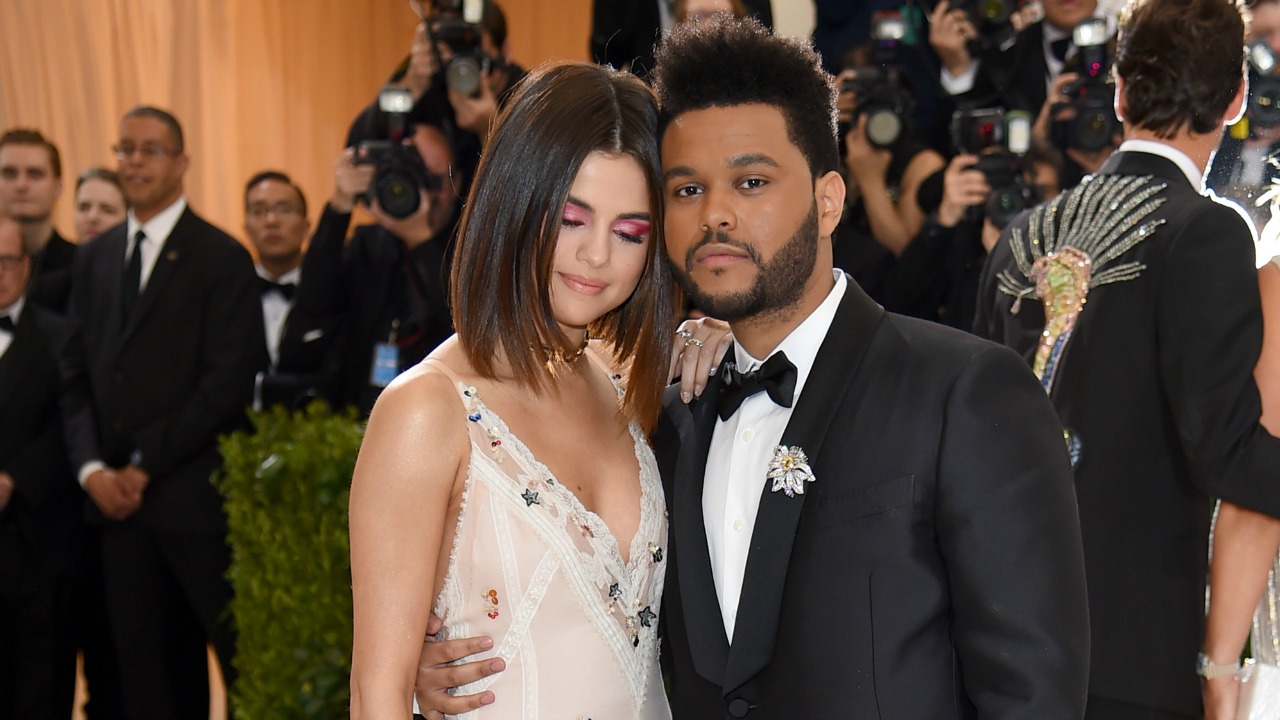 Bella Hadid Wears Sexy Sheer Catsuit While Ex The Weeknd Cozies Up