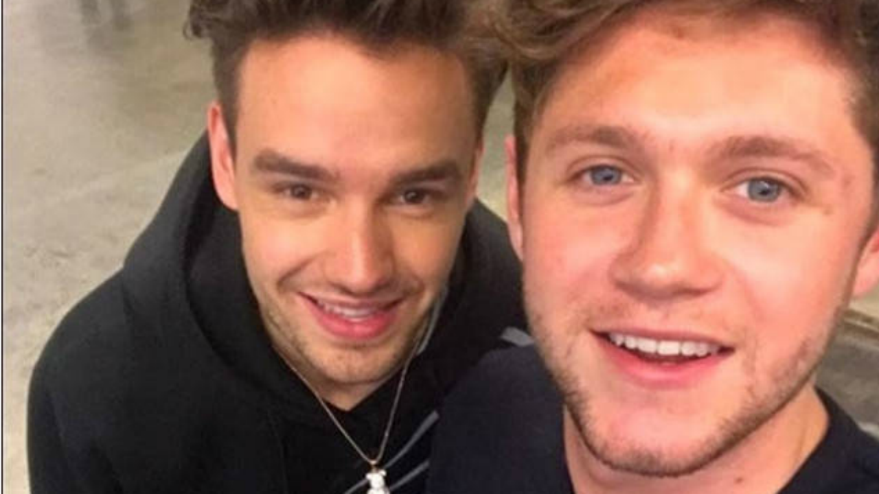 One Direction was built around Niall Horan not Liam Payne - PopBuzz